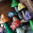 Group of Mushrooms