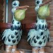 Small Pelicans