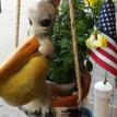 Hanging Pelican Head
