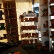 Booth Shot