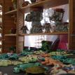 Critters & Elephants