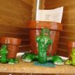 Turtle Pots