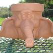 Medium Female Elephant Head