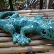Large Wall Gecko