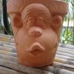 Medium Male Monkey Head