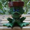 Teeny Dark Green Male Frog