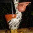 Small Pelican
